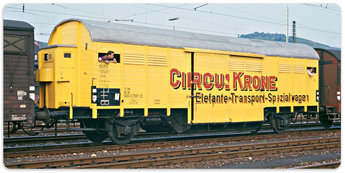 Elefanten-Transport-Spezialwagen