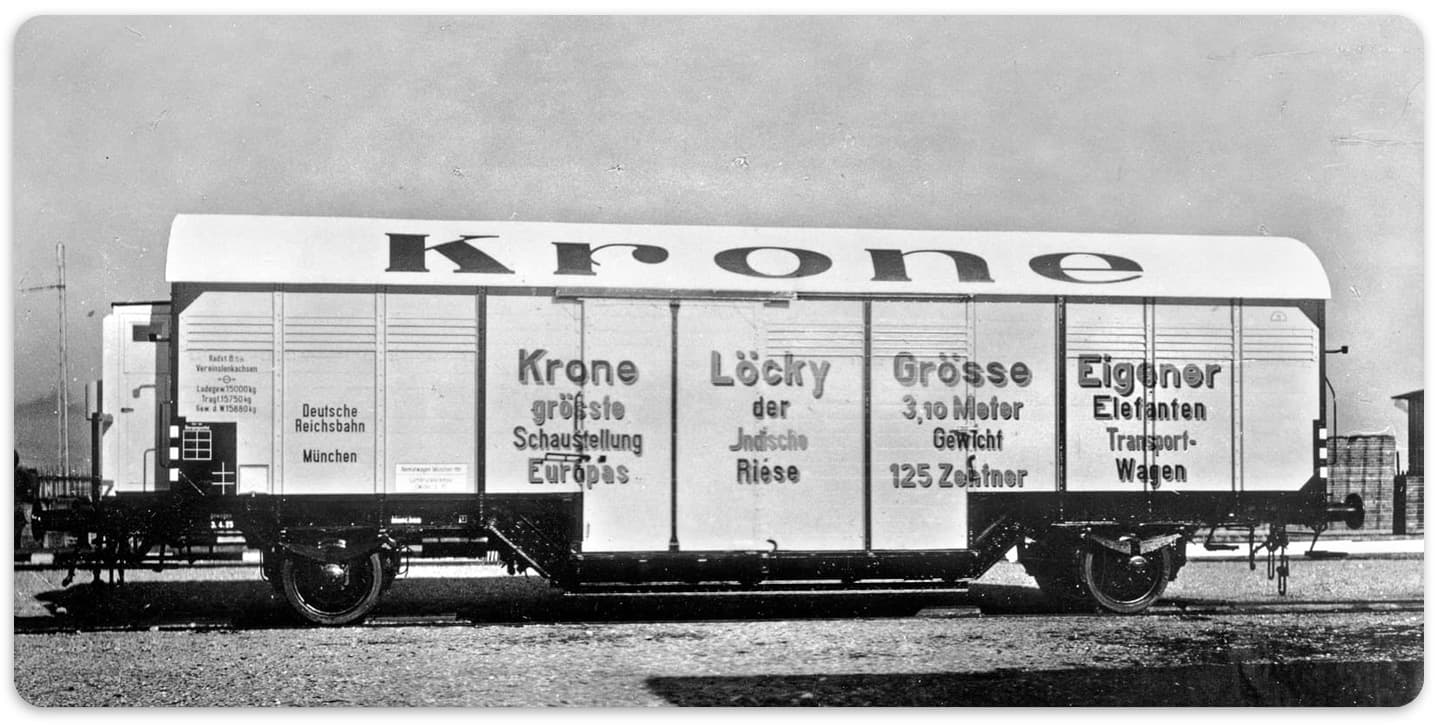 Elefanten-Transport-Spezialwagen